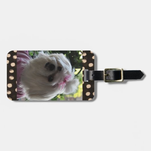 Malteser Gepäckträger Gepäckanhänger (Vorderseite horizontal)