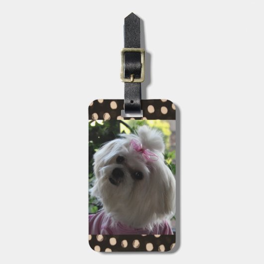 Malteser Gepäckträger Gepäckanhänger (Vorderseite vertikal)