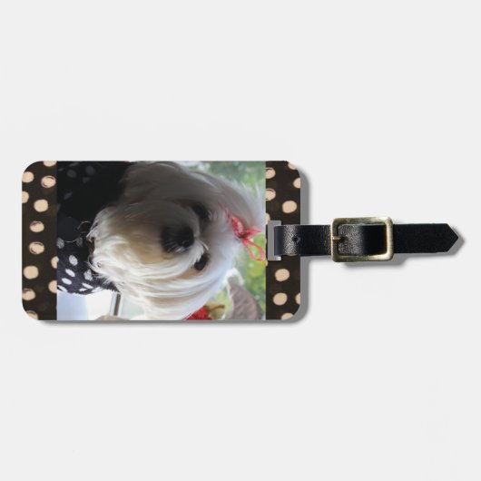 Malteser Gepäckträger Gepäckanhänger (Vorderseite horizontal)