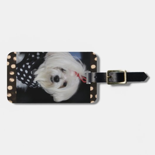 Malteser Gepäckträger Gepäckanhänger (Vorderseite horizontal)