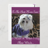 Malteser Geschenke Postkarte (Vorne/Hinten)