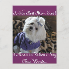 Malteser Geschenke Postkarte