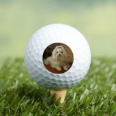 Malteser Golfball (Insitu T-Shirt)
