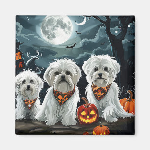Malteser Halloween Spooky Magnet
