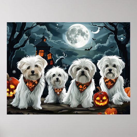 Malteser Halloween Spooky Poster (Vorne)