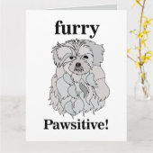 Malteser Haustier Karte (Gelbe Blume)