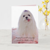 Malteser Hund am Muttertag Karte (Gelbe Blume)