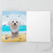 Malteser Hund am Strand Karte (Innenseite)