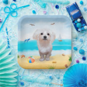 Malteser Hund am Strand Pappteller (Party)