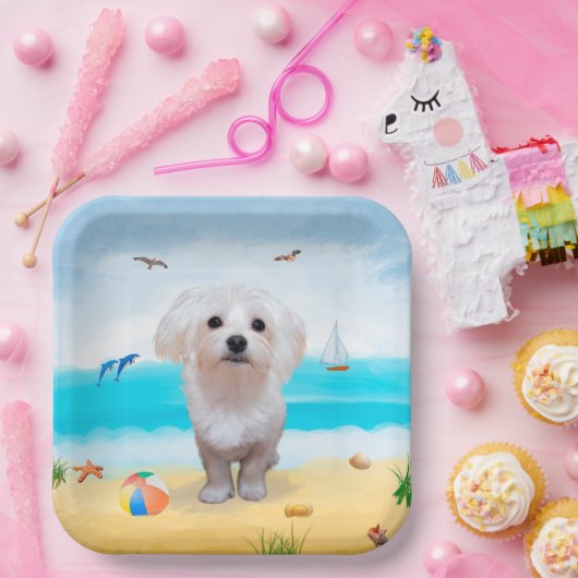 Malteser Hund am Strand Pappteller (Party)