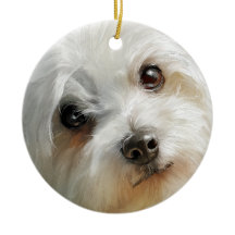 Malteser-Hund Aquarell-Porträt