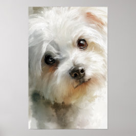 Malteser-Hund Aquarell-Porträt Poster