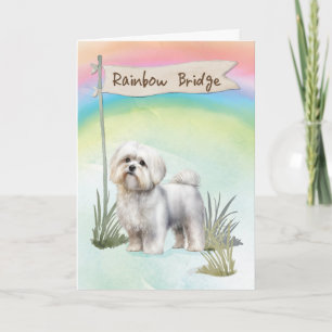 Malteser Hund Beileid über Rainbow Bridge Karte