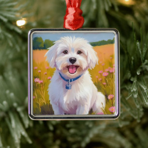 Malteser Hund Blumenfeld Haustiermalerei Ornament Aus Metall