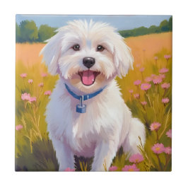 Malteser-Hund-Blumenfeld-Malerei Fliese