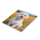 Malteser-Hund-Blumenfeld-Malerei Fliese (Seite)