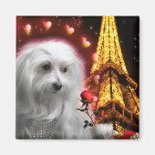 Malteser Hund Eiffelturm DER SPARK DER LIEBE! Magnet (Vorne)