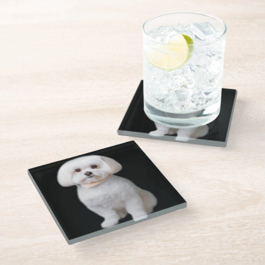 Malteser Hund Glasuntersetzer (Schrägansicht)
