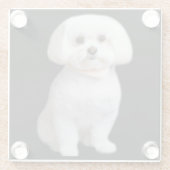 Malteser Hund Glasuntersetzer (Rückseite)