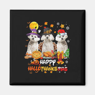 Malteser Hund Happy Halloween Erntedank Merry Chr Magnet