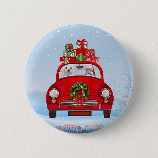 Malteser Hund im Auto mit dem Weihnachtsmann Button (Vorderseite)
