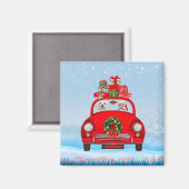 Malteser Hund im Auto mit dem Weihnachtsmann Magnet (Vorderseite/Rückseite)