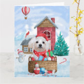 Malteser Hund im Schnee Weihnachtshaus Karte (Gelbe Blume)