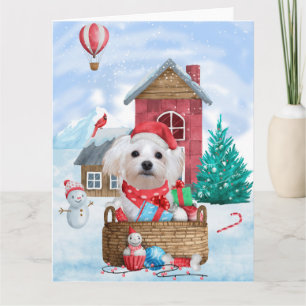 Malteser Hund im Schnee Weihnachtshaus Karte