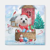 Malteser Hund im Schnee Weihnachtshaus Magnet (Vorne)