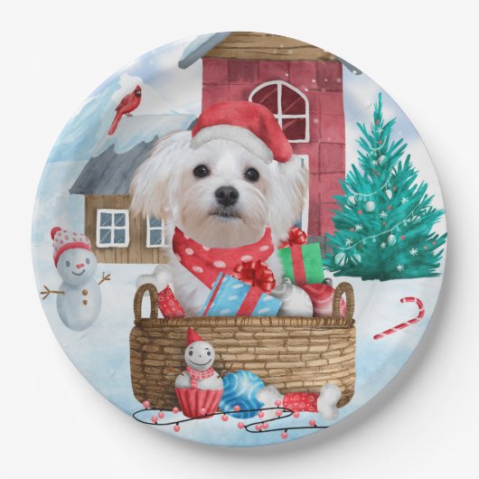 Malteser Hund im Schnee Weihnachtshaus Pappteller (Vorderseite)