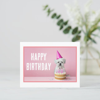 Malteser Hund in Party Hat Postcard Postkarte