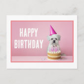 Malteser Hund in Party Hat Postcard Postkarte (Vorderseite)