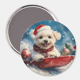 Malteser Hund in Sledge Lass es Schnee Weihnachten Magnet