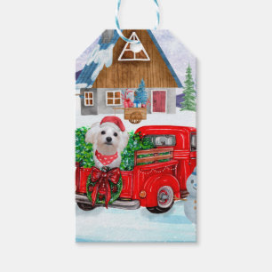 Malteser Hund in Weihnachten Lkw Schnee Geschenkanhänger