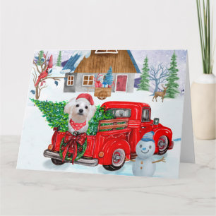 Malteser Hund in Weihnachten Lkw Schnee Karte
