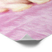 Malteser Hund; ist eine kleine Rasse weißen Hundes Poster (Ecke)