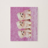 Malteser Hund; ist eine kleine Rasse weißen Hundes Puzzle (Vertikal)