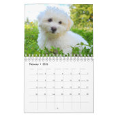 Malteser Hund Kalender (Feb 2026)