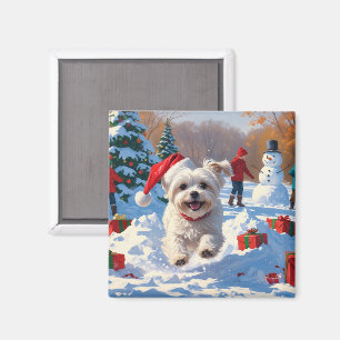 Malteser Hund läuft im Schnee mit Weihnachtshut Magnet