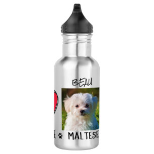 Malteser-Hund Liebhaber Edelstahlflasche