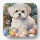 Malteser Hund mit Ostereier Urlaub Pappteller (Vorderseite)