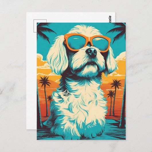 Malteser Hund mit Sonnenbrille am Strand Postkarte (Vorne/Hinten)
