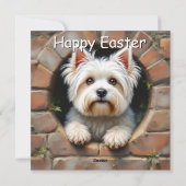 Malteser Hund - Ostern Feiertagskarte (Rückseite)