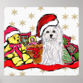 Malteser Hund Poster (Vorne)