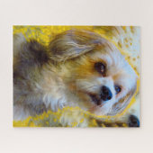 Malteser-Hund. Puzzle (Horizontal)