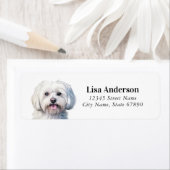 Malteser Hund-Rücksendeadressen-Aufkleber (Insitu)