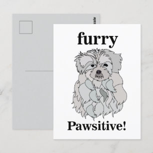 Malteser Hund Tier Pet Funny Postkarte