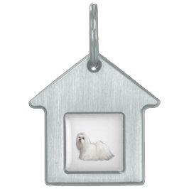 Malteser Hund Tiermarke