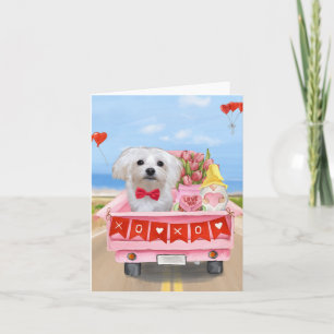 Malteser-Hund Valentinstag-Lieferwagen Karte