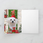 Malteser Hund Weihnachten Karte (Innenseite)